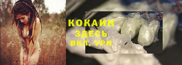 дживик Зеленокумск