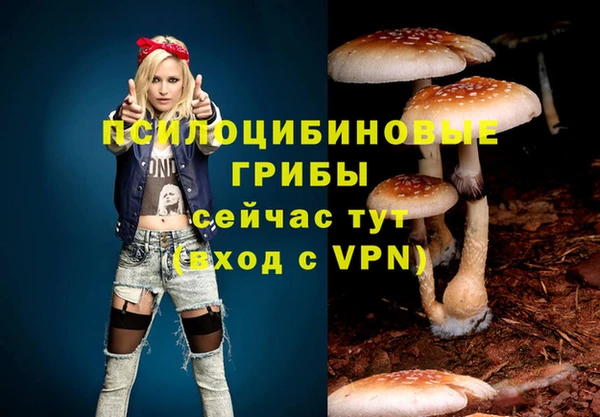spice Зерноград