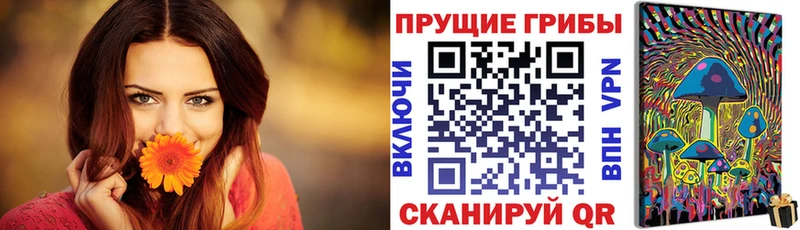 Купить где  Котельнич  Галлюциногенные грибы Psilocybe 