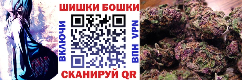Купить закладки  Котельнич  Шишки марихуана марихуана 